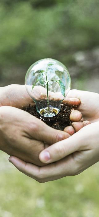 New Project - 2024-08-30T180423.845